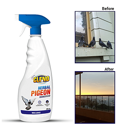 Buy Cleno Herbal Pigeon Repellent Spray Online at Best Price of Rs 500