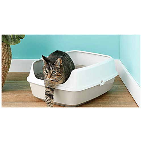 Buy GLENAND Cat Litter 100 Natural Bentonite Lemon Fragrance Online