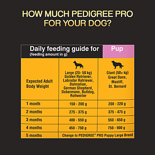 Buy Pedigree PRO Mother & Pup Starter Large Breed Dry Dog Food, For
