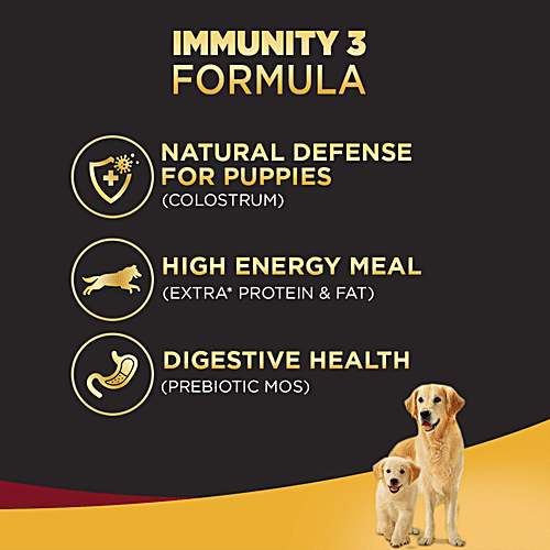 Buy Pedigree PRO Mother & Pup Starter Large Breed Dry Dog Food, For