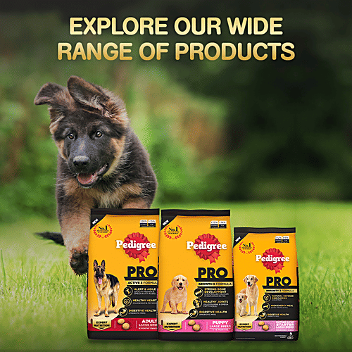 Buy Pedigree PRO Mother & Pup Starter Large Breed Dry Dog Food, For