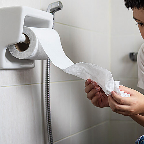 Buy Ezee Toilet Tissue Roll 2 Ply Highly Absorbent, Super Soft, For