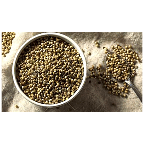 INDUS HEMP Toasted Hemp Seeds With Himalayan Salt - Free From Sugar, Gluten & Cholesterol, 250 g