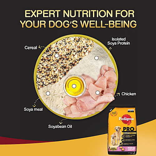 Buy Pedigree PRO Dry Dog Food Mother & Pup, Starter, Large Breed, 3