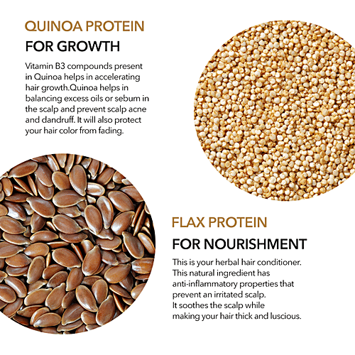 Paradyes Color Care Hair Oil - With Quinoa & Flax Oil, 100 ml  Non-Sticky