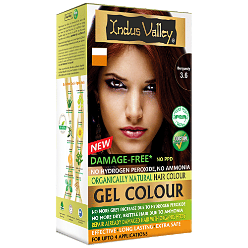 Indus Valley Organically Natural Gel Hair Colour - Burgundy, 220 g Damage Free