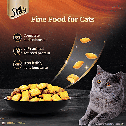 Buy SHEBA Dry Cat Food Chicken Flavour, Kitten & Adult Online at Best