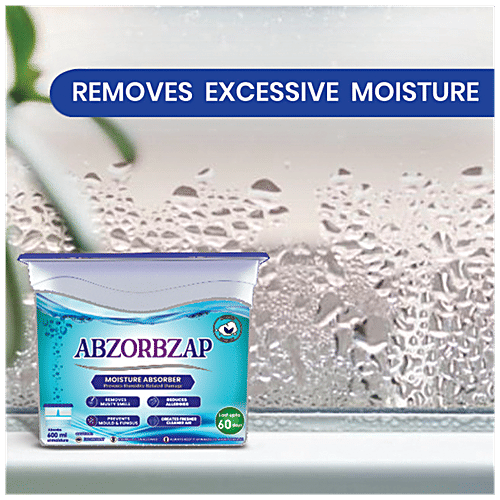 Buy Absorbzap Moisture Absorber Online at Best Price of Rs 141.75