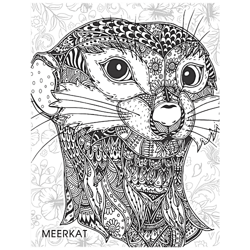 Dreamland Creative Doodle Colouring Book For Adults - Pattern & Animals, 2 pcs  Creative Doodle Colouring
 For Adults