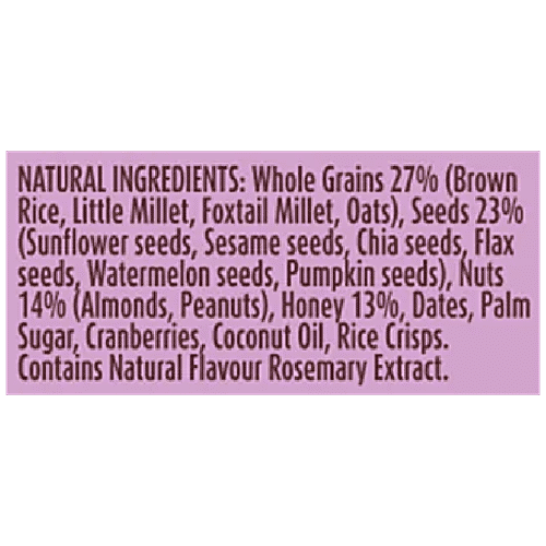 WellBe Wholesome Nuts & Seeds Snack Bar, 30 g  Healthy Snack, No Artificial Additives, No Preservatives, No Artificial Colours