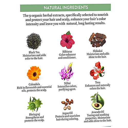 BIOTIQUE Herbcolor Conditioning Hair Color - No Ammonia, 5 pcs 1N Natural Black 100% Grey Coverage, 9 Organic Herbal Extracts, Lasts upto 26 Shampoos