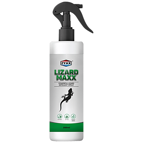 Buy Zyax Lizard Maxx Lizard Repellent Spray Online at Best Price of Rs 599 bigbasket