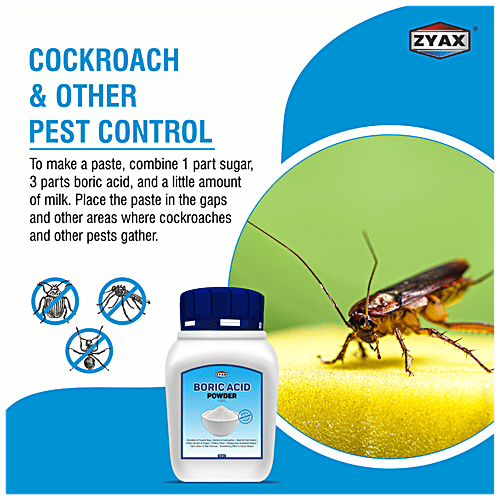 Zyax Boric Acid Powder, 400 g  