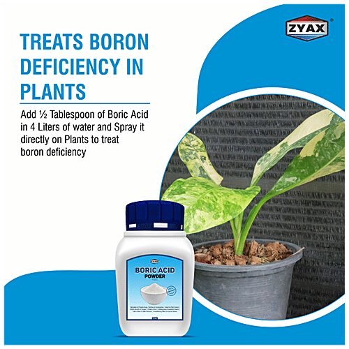 Zyax Boric Acid Powder, 400 g  