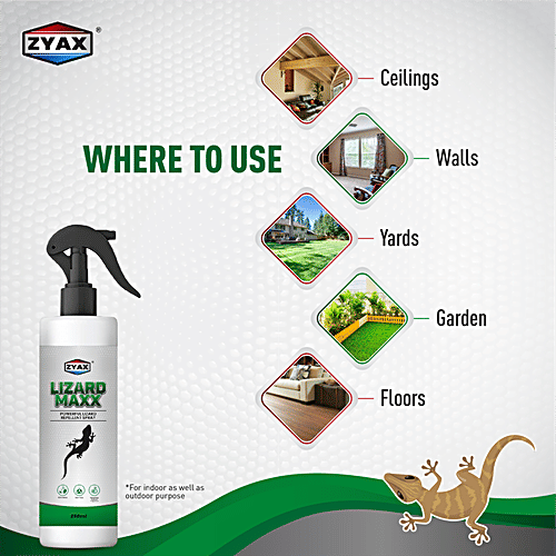 Zyax Lizard Maxx Lizard Repellent Spray, 100 ml  Non-Toxic & Refreshing Fragrance