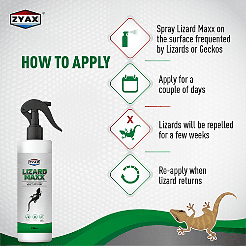 Zyax Lizard Maxx Lizard Repellent Spray, 100 ml  Non-Toxic & Refreshing Fragrance