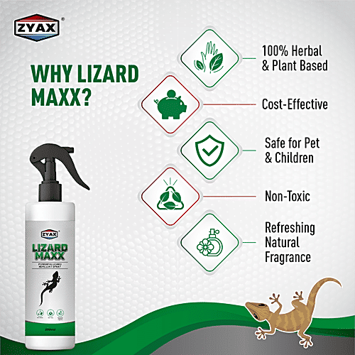 Zyax Lizard Maxx Lizard Repellent Spray, 100 ml  Non-Toxic & Refreshing Fragrance