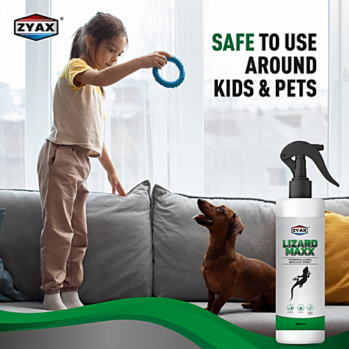 Zyax Lizard Maxx Lizard Repellent Spray, 100 ml  Non-Toxic & Refreshing Fragrance