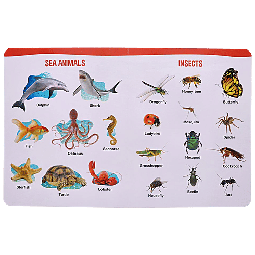 Navneet All In One Board Book - For Kindergarten & Toddlers, 1 pc