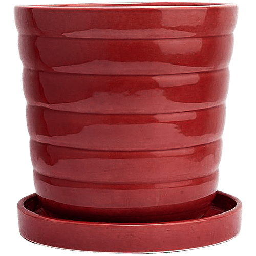 bb home Earth Planter/ Pot With Tray, Hand Crafted Ceramic - Cosmic Maroon, 20.32 cm, Medium Size, 1 pc  