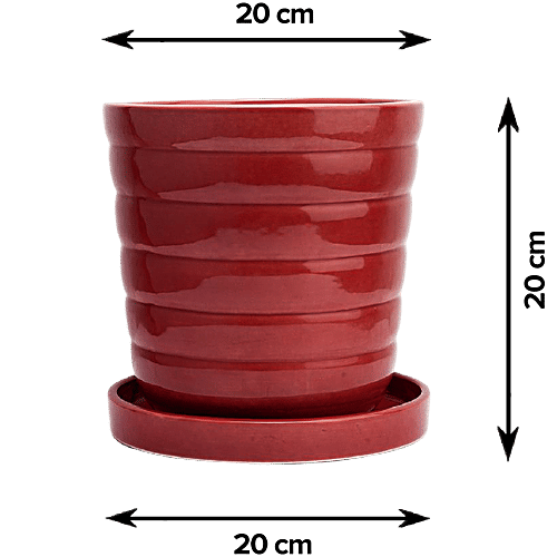 bb home Earth Planter/ Pot With Tray, Hand Crafted Ceramic - Cosmic Maroon, 20.32 cm, Medium Size, 1 pc  