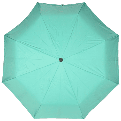 EUME Obscure Auto Open 60 cm 3-Fold Unisex Sea Green & Silver Colour Umbrella, 1 pc  