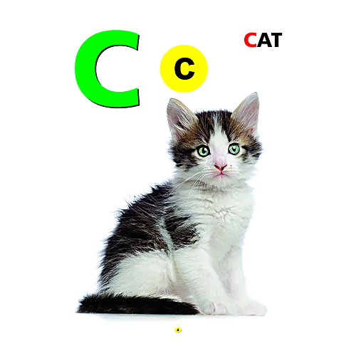 Junior Diamond My First Book Of ABC - For Kids, 32 Pages, 1 pc