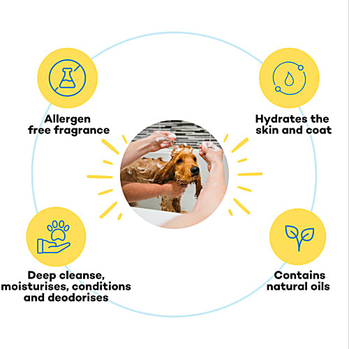 The Good Paws Awesome Pawsome 4 In 1 Dog Shampoo - Chamomile, Moisturizing & Conditioning, 250 ml Moisturizing & Conditioning, Cleanse & Deodorize, All Natural Olive & Wheatgerm Oil