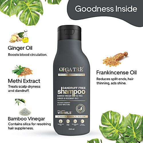 Orgatre Dandruff Free Shampoo, 250 ml  