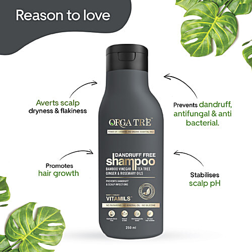 Orgatre Dandruff Free Shampoo, 250 ml  