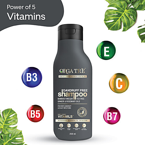 Orgatre Dandruff Free Shampoo, 250 ml  