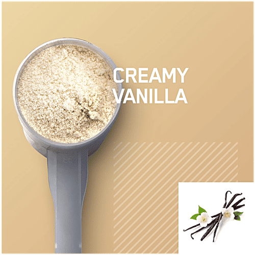 Optimum Nutrition Gold Standard Plant Based Protein Powder Drink Mix - French Vanilla Creme, 684 g 24g High Protein, For Muscle Strength & Repair, No Added Sugar