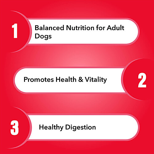 Purepet Meat & Rice Adult Dog Dry Food, 2.8 kg  Balanced Nutrition For Adult Dogs, Promotes Health & Vitality, Healthy Digestion