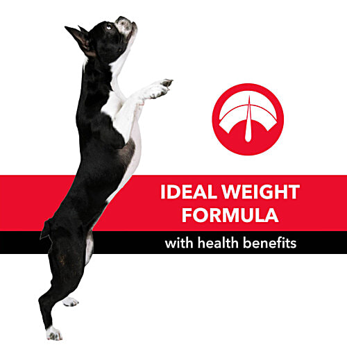 Purepet Meat & Rice Adult Dog Dry Food, 2.8 kg  Balanced Nutrition For Adult Dogs, Promotes Health & Vitality, Healthy Digestion