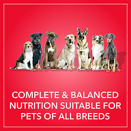 Purepet Meat & Rice Adult Dog Dry Food, 2.8 kg  Balanced Nutrition For Adult Dogs, Promotes Health & Vitality, Healthy Digestion
