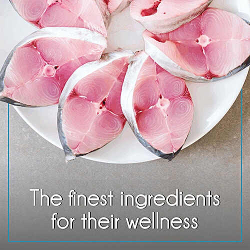 Purepet Mackerel Adult Cat Dry Food, 6 kg Smart Food for a Smarter Pet
Complete Nutrition
Taurine for Healthy Heart