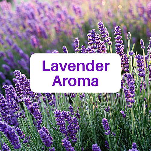 Rinsl Super Value Floor Cleaner - Luxury Lavender Aroma, 5 L  