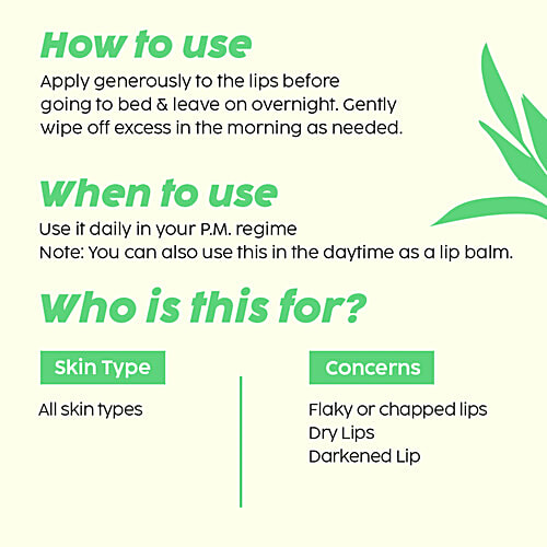 Plix Pomegranate Plump Lips - With Chiuri Butter & Vitamin C, 15 g Puddin’ Mask for Dry Lips, Lightens Dark Lips, Lip Mask for Soft Smooth Lips