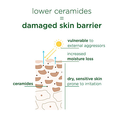 Simple Active Skin Barrier Care Replenishing Cream Cleanser, 150 ml  Boosts Hydration, Supporting skin barrier health for soft and supple skin