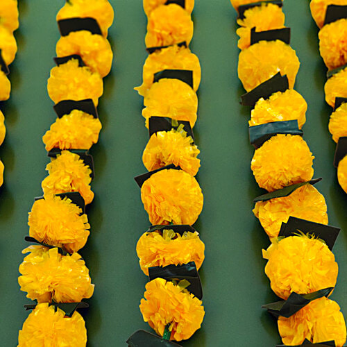 House of Festivals Toran/Mala/Bandhanwar/Bandarwal Marigold - Lemon Yellow Flowers & Green Leaves, 138 cm, 2 pcs  