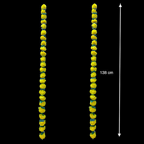 House of Festivals Toran/Mala/Bandhanwar/Bandarwal Marigold - Lemon Yellow Flowers & Green Leaves, 138 cm, 2 pcs  
