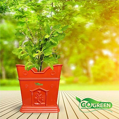 Go Green Tulsi Pot - Medium, Brown, 19.05 x 20.95 cm, 1 pc  