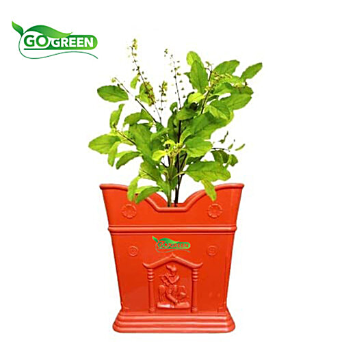 Go Green Tulsi Pot - Medium, Brown, 19.05 x 20.95 cm, 1 pc  