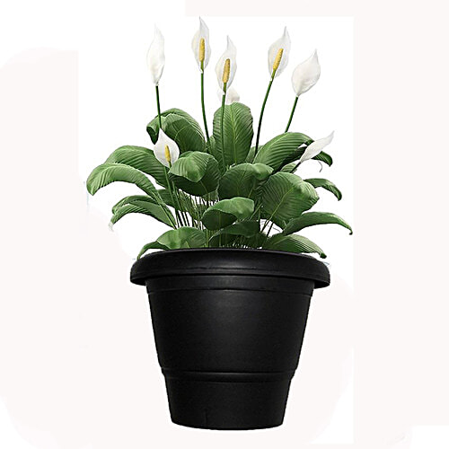 Go Green Premium Flower Pot No 70 - Black, 17.78 x 14.6 cm, 1 pc