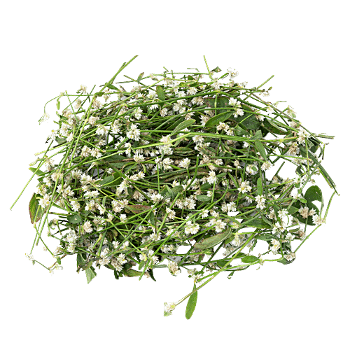 fresho! Koorai Poo, 100 g  