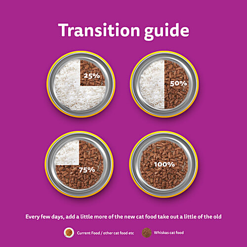 Whiskas Wet Cat Food - Adult, 1+ Years, Ocean Fish Flavour, 80 g (Pack of 28) Ocean Fish Flavour
Complete & Balanced Nutrition