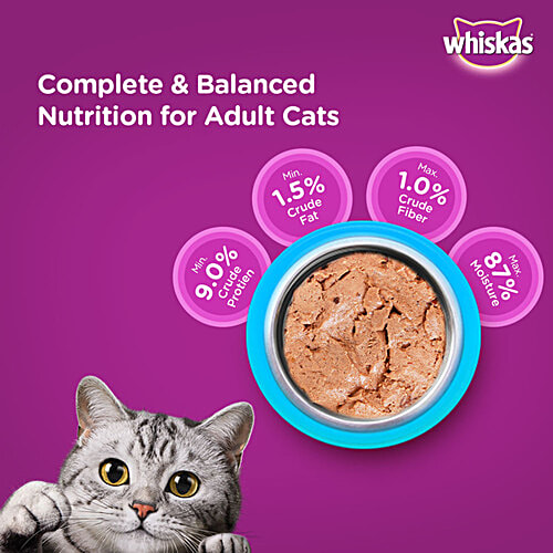 Whiskas Wet Cat Food - Adult, 1+ Years, Ocean Fish Flavour, 80 g (Pack of 14) 