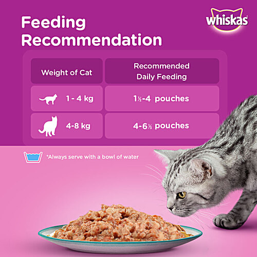 Whiskas Wet Cat Food - Adult, 1+ Years, Ocean Fish Flavour, 80 g (Pack of 14) 