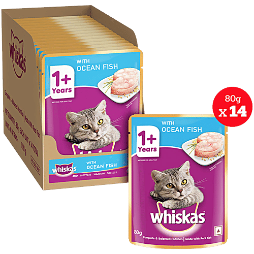 Whiskas Wet Cat Food - Adult, 1+ Years, Ocean Fish Flavour, 80 g (Pack of 14) 