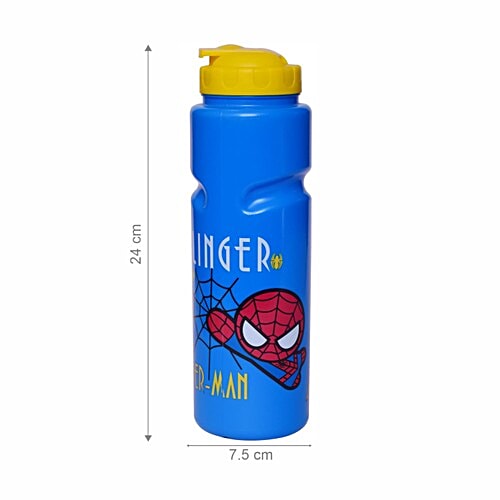 Gluman Disney Spiderman Summer Water Bottle, 700 ml  